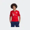 阿迪达斯/Adidas FCB H JSY Y 拜仁慕尼黑童款主场比赛服 DX9253