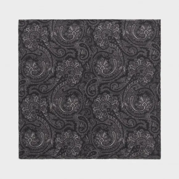 思琳/Celine 男士 佩斯利印花羊绒围巾 2AWB3309E.38OW