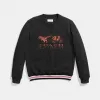 蔻驰/Coach REXY和马车图案长袖衫 23151 BLK