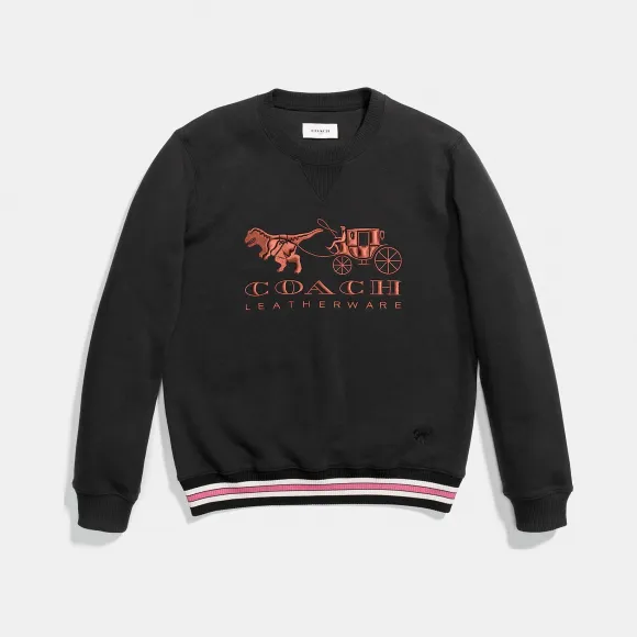 蔻驰/Coach REXY和马车图案长袖衫 23151 BLK