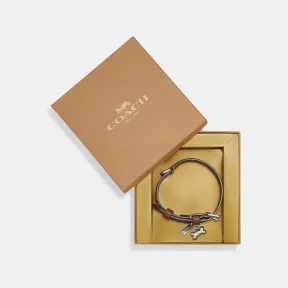 蔻驰/Coach 盒装小号帆布宠物项圈 CH144-SVBDX