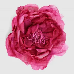 古驰/Gucci 真丝花朵别针 412103 I3967 8134