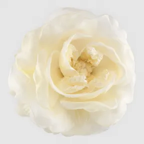 古驰/Gucci 真丝花朵别针 417696 I3967 8181