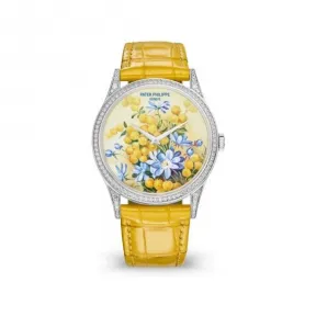 百达翡丽/Patek Philippe 珍稀工艺系列 37MM 18k白金，表圈和表耳镶嵌112颗明亮式切割顶级威塞尔顿钻石（约0.8克拉） 自动机械 女表 5077-100G-037