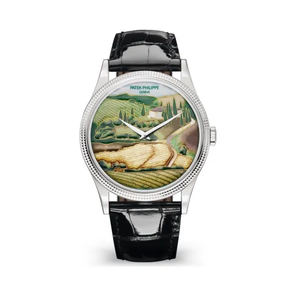 百达翡丽/Patek Philippe 珍稀工艺系列 白金 自动机械机芯  5177G-001