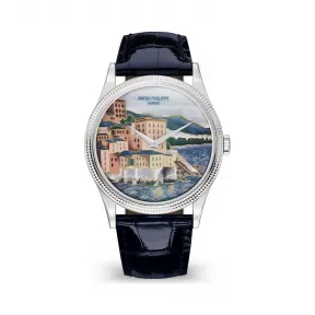百达翡丽/Patek Philippe 珍稀工艺系列 白金 自动机械机芯 中性 5177G-010