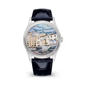 百达翡丽/Patek Philippe 珍稀工艺系列 白金 自动机械机芯  5177G-011