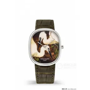 百达翡丽/Patek Philippe 珍稀工艺    男表 5738-50G-031