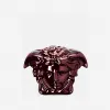 范思哲/Versace 青铜色 N26030-N426174-N1449