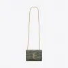 伊夫圣罗兰/Yves Saint laurent kate小号林蛇皮革链条包 469390EAAAY3166