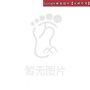 普拉达/Prada   帽衫 SMC586 U98 F0008