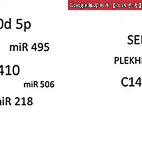 卡地亚/Cartier Antique piece 晚装包 Antique pieces evening bag HSA00740