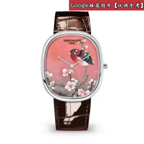 百达翡丽/Patek Philippe 珍稀工艺系列 34.5MM 18k白金 自动机械 女表 5738-50G-010