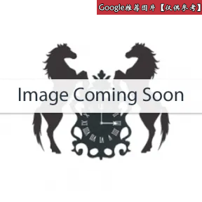 格拉苏蒂/Glashutte Original 精髓系列 18K白金 自动机械机芯 男表 100-10-18-18-04