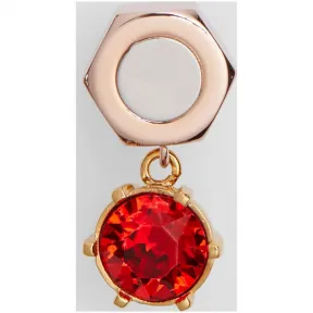 博百利/Burberry 女士 人造水晶吊饰镀玫瑰金螺母螺栓耳环 (玫瑰金色 / 钯金色) 80129641