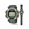 卡西欧/Casio G Shock 系列 石英机芯 男表 DW-8195-3