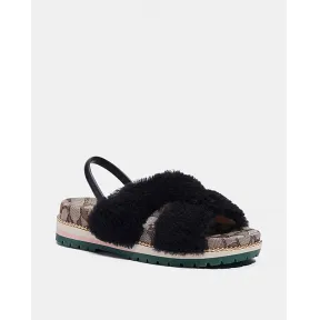 蔻驰/Coach TALLY鞋 C5885-BLK