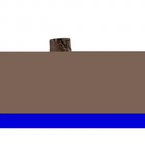 迪奥/Dior 干邑色蟒蛇皮短靴 KCI413PYO S08T