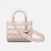 迪奥/Dior 女士 手提包 M0538OCAL_M413_TU