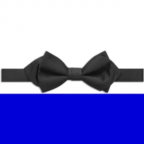 迪奥/Dior 黑色罗缎真丝领结 PIS1020801 C900