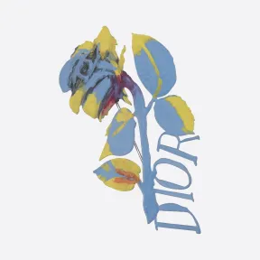 迪奥/Dior 黄铜和树脂 DIOR AND ALEX FOXTON 花朵胸针 V0436HOMMT-D003