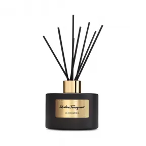 菲拉格慕/Salvatore Ferragamo 喜剧王-空气芳香剂 419155_709137