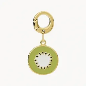 化石/Fossil 坠饰 JF03973710