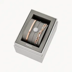 化石/Fossil 套装 JGFTSET1046
