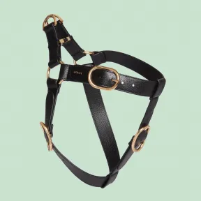 古驰/Gucci 大/超大型宠物胸背带 695253-2ZR0G-1000 