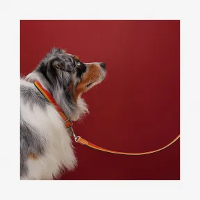 爱马仕/Hermes Rocabar狗链 H068629CJ21100