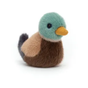 邦尼兔/Jellycat Birdling Mallard BIR6M