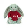 邦尼兔/Jellycat Blossom Sage Bunny with Personalised Red Jumper JUMPRBL3SG