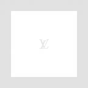 路易威登/Louis Vuitton(LV) 鞋撑 - 鞋子 455439