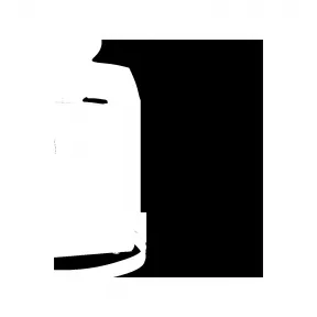 路易威登/Louis Vuitton(LV) City Steamer PM Crocadillian 垫子 - 手提包 | 路易威登 N82126