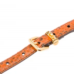 缪缪/Miu Miu 腰带 5CC046_047_F0E05