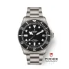 帝舵/Tudor 领潜极致型 43MM 磨砂钛金属表壳 自动机械机芯 男表 M2543C1A7NU-0001