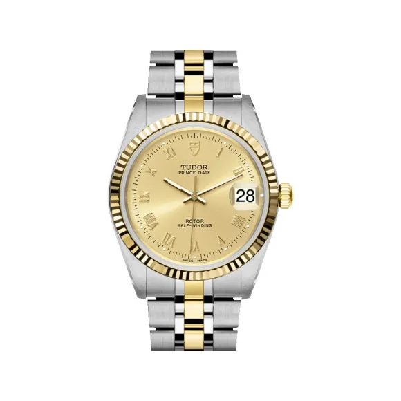 帝舵/Tudor 王子系列   M74033-0009