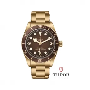 帝舵/Tudor 帝舵碧湾1958型青铜款腕表 - M79012M-0001 39毫米 磨砂青铜 自动机械机芯