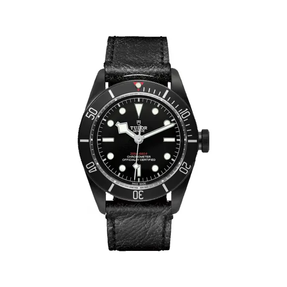 帝舵/Tudor 碧湾系列 自动机械 男表 M79230DK-0007