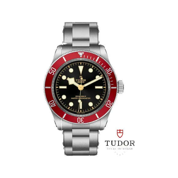 帝舵/Tudor 碧湾 41MM 磨光及磨砂不锈钢表壳 自动机械机芯 男表 M7941a1a0ru-0001