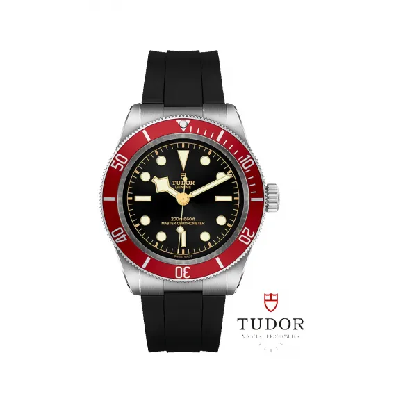 帝舵/Tudor 碧湾 41MM 磨光及磨砂不锈钢表壳 自动机械机芯 男表 M7941a1a0ru-0002