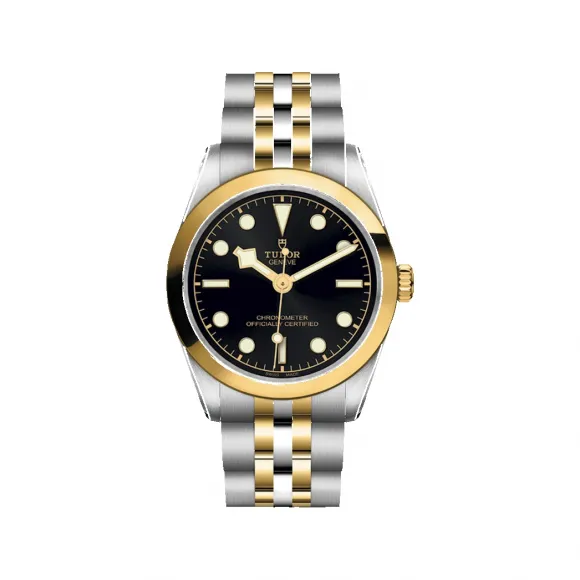 帝舵/Tudor 碧湾型 31型 31MM 磨光及磨砂316L钢表壳 自动机械机芯 女表 M79603-0001