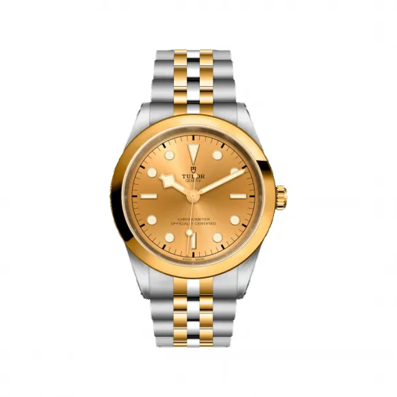 帝舵/Tudor 碧湾型 41MM 磨光及磨砂钢 自动机械机芯 男表 M79683-0005