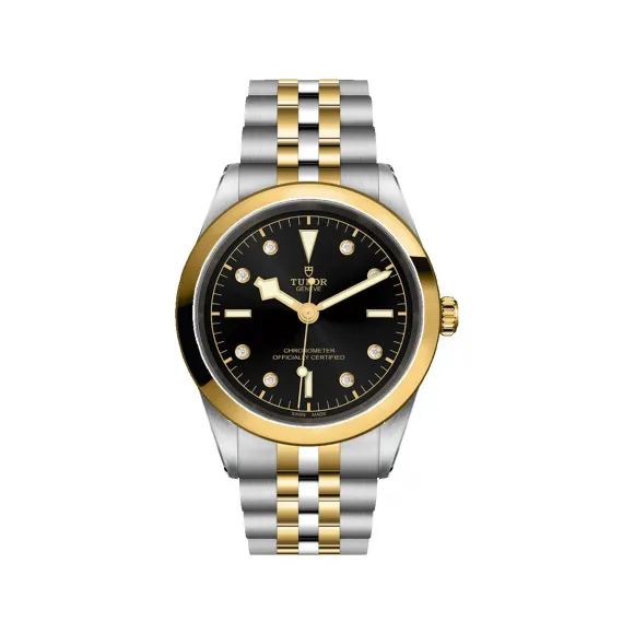 帝舵/Tudor 碧湾型 41MM 磨光及磨砂钢 自动机械机芯 男表 M79683-0006