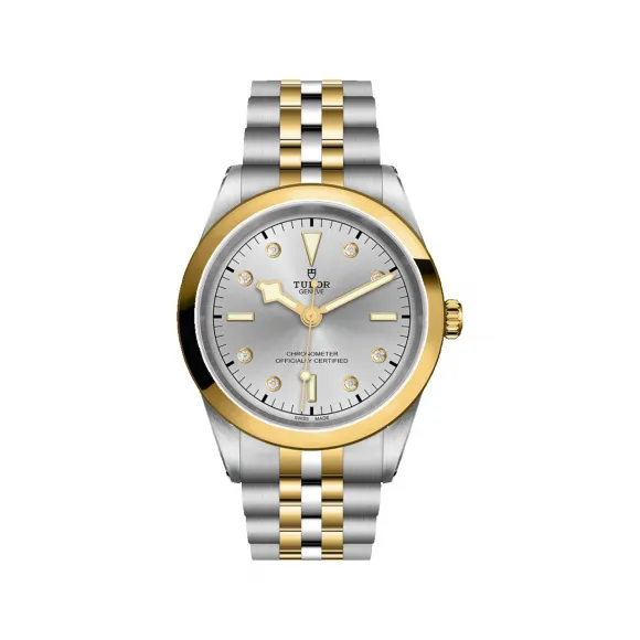 帝舵/Tudor 碧湾型 41MM 磨光及磨砂钢 自动机械机芯 男表 M79683-0007