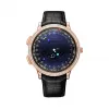 梵克雅宝/Van Cleef & Arpels Midnight Planétarium腕表 - VCARO8T100